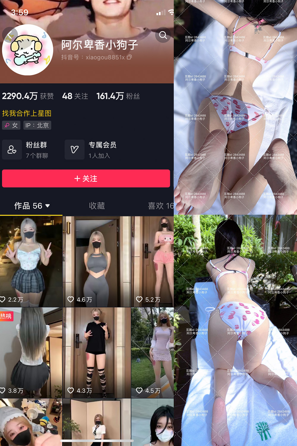 抖音 阿尔卑香小狗子 微密圈  NO.060期 【17P】最新至：2025.2.8-微私密圈-全网最全抖音网红铁粉写真空间